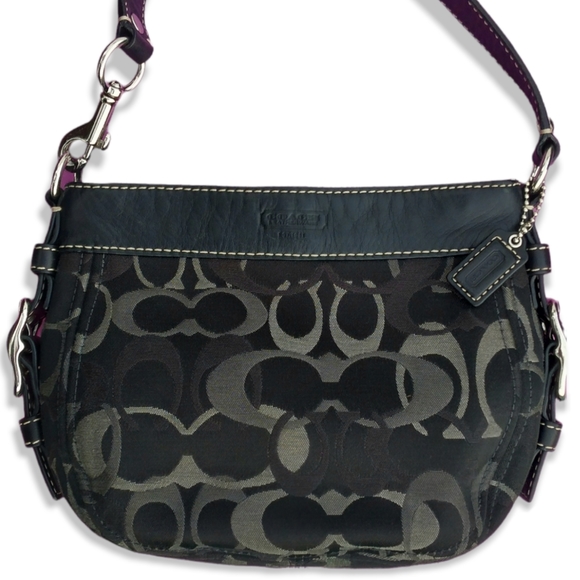 Coach Bags Coach Zoe Conventional Signature Hobo Shoulder Bag